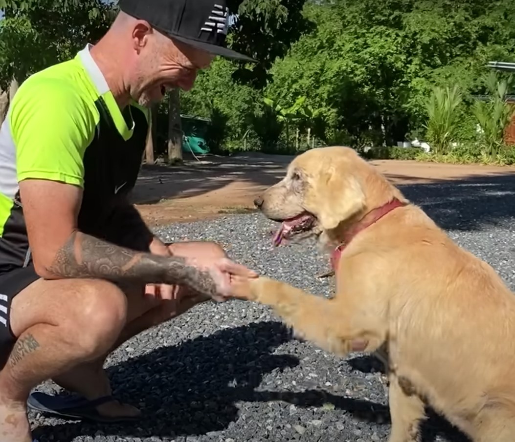 man holding dog's paw