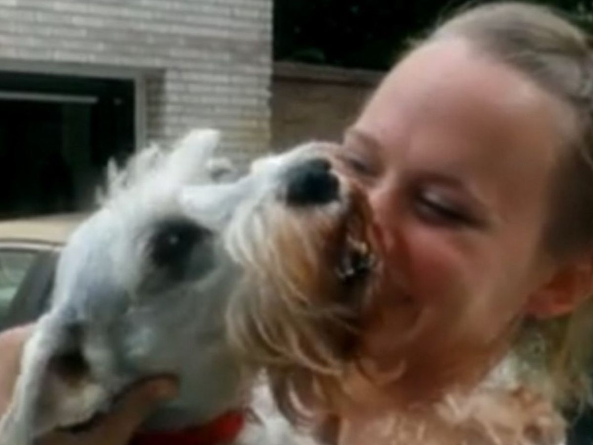 close-up photo of woman holding the dog