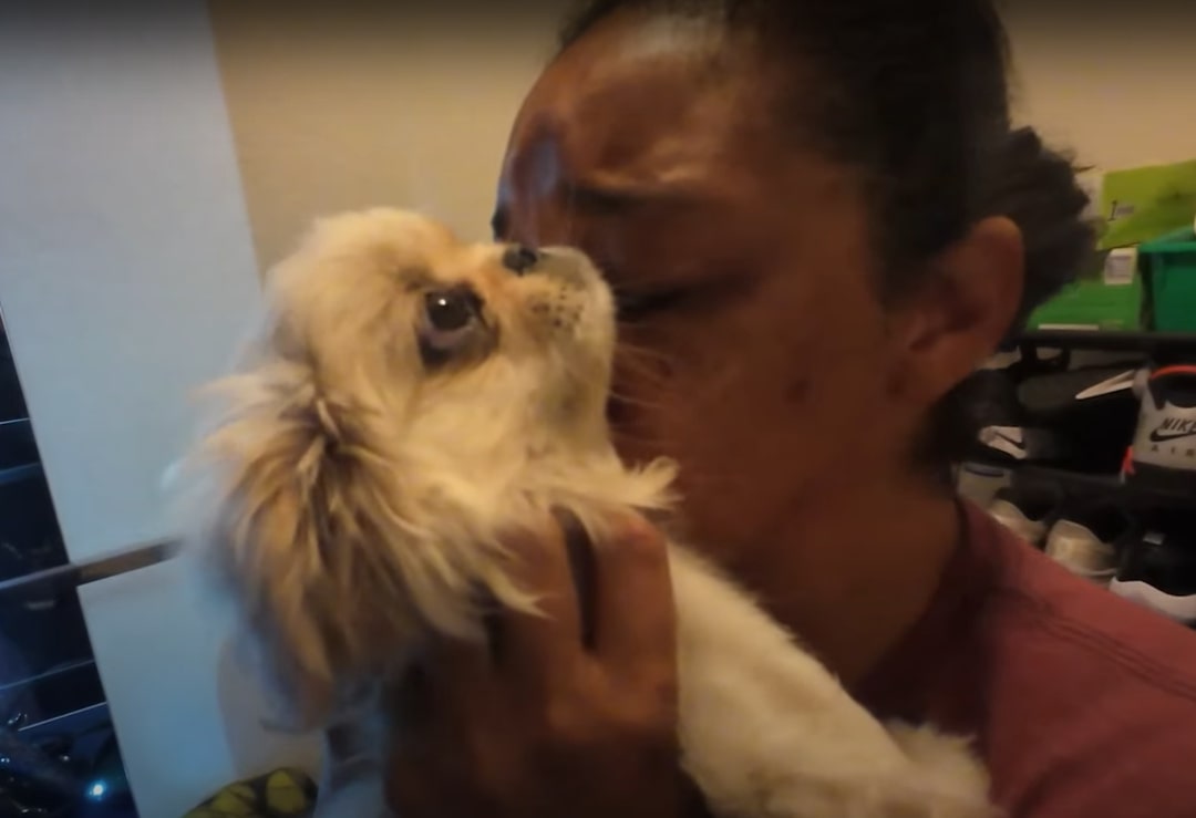 woman kissing dog