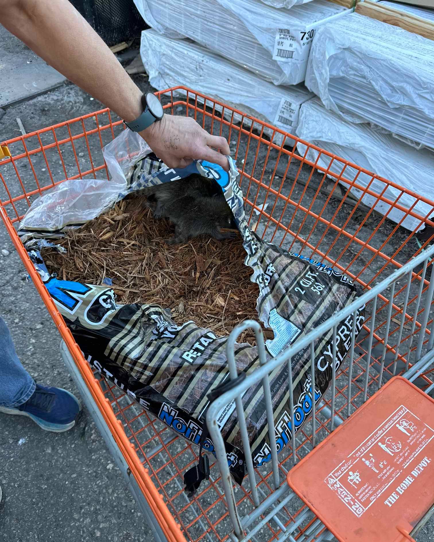 A man is driving a wheelbarrow with mulch