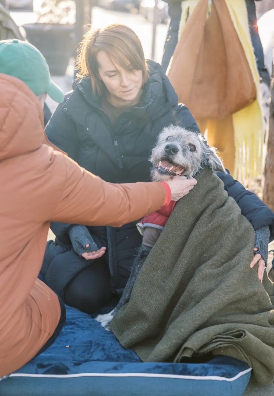 A man outdoors petting a dog wrapped in a blanket