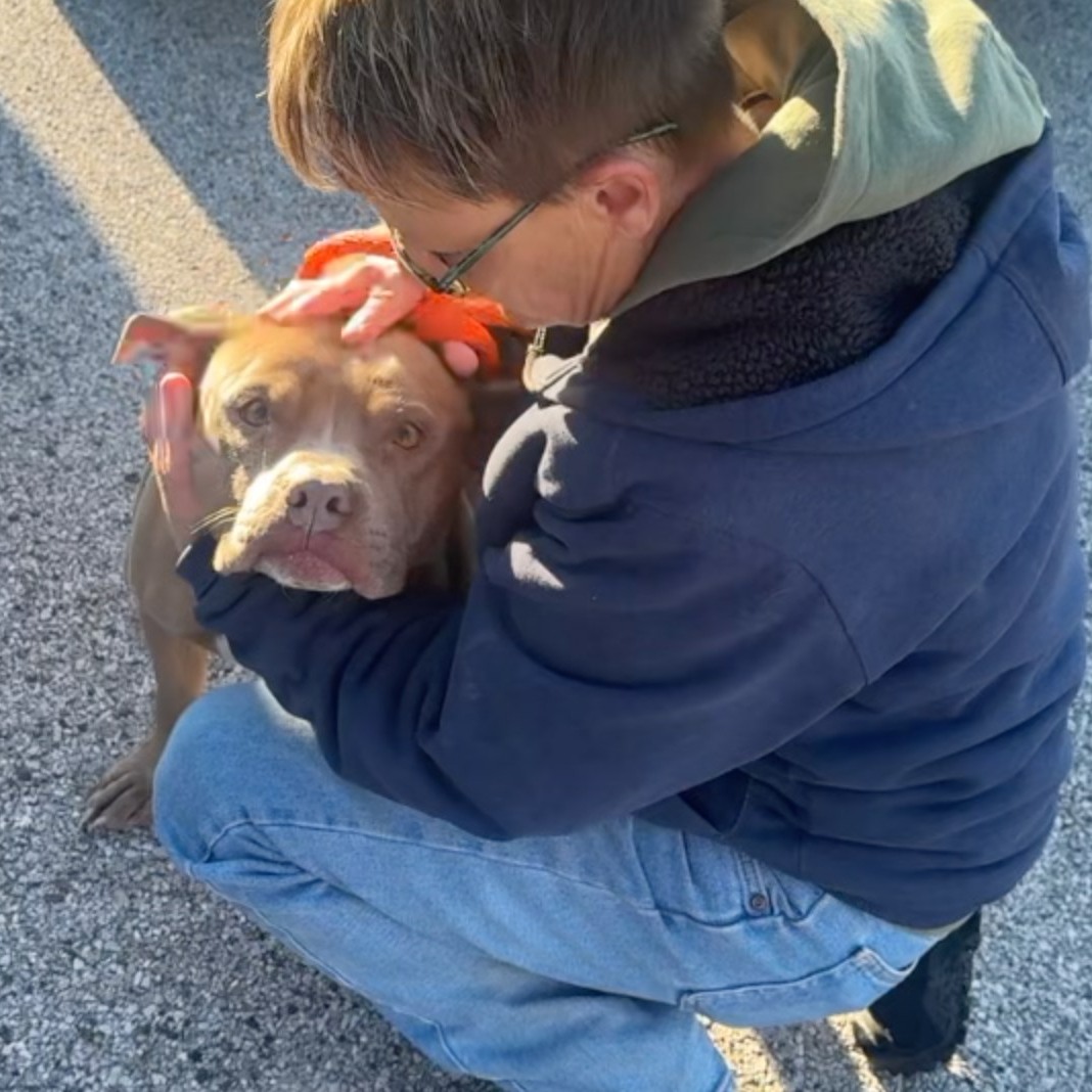 A man petting a dog on the street