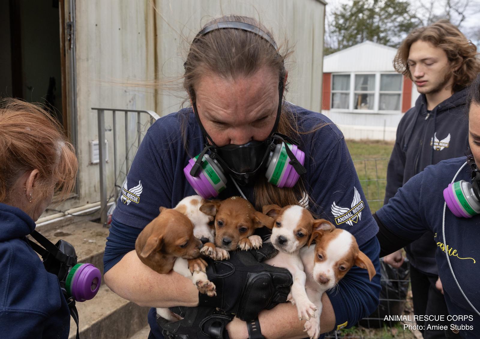 Rescuers saved the little puppies