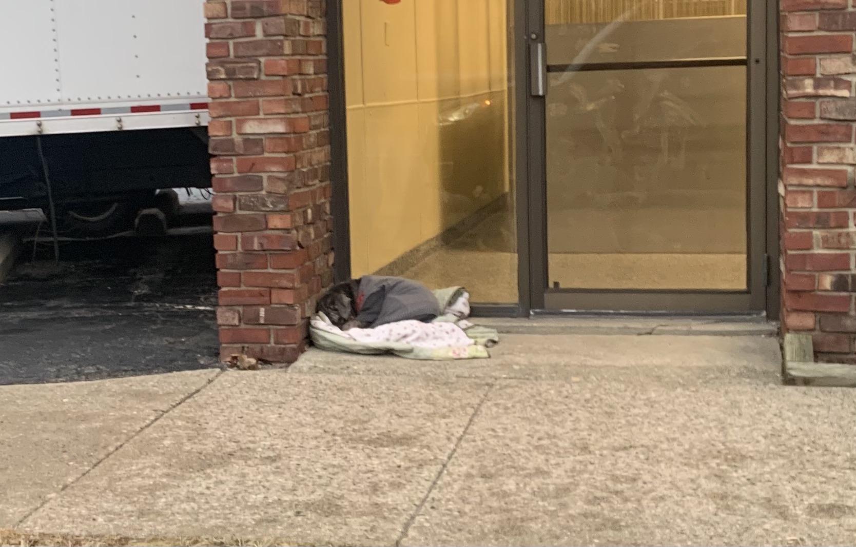 The dog is lying on the sidewalk next to the door