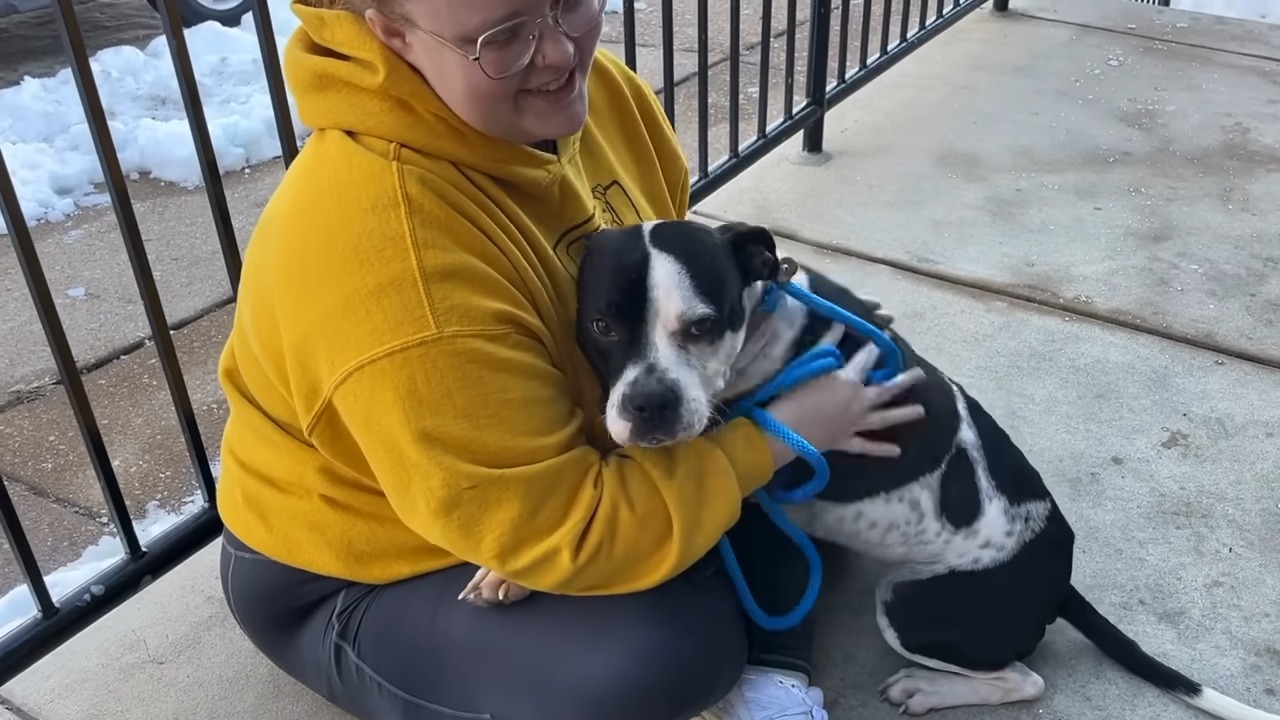 The girl is petting the dog