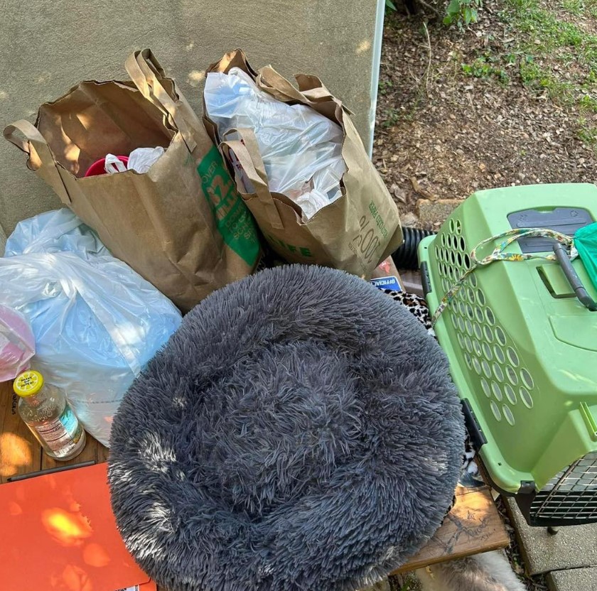 a dog dumped with his belongings