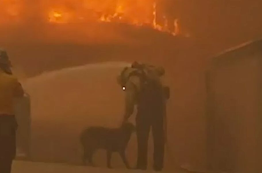 a firefighter petting a dog during a fire