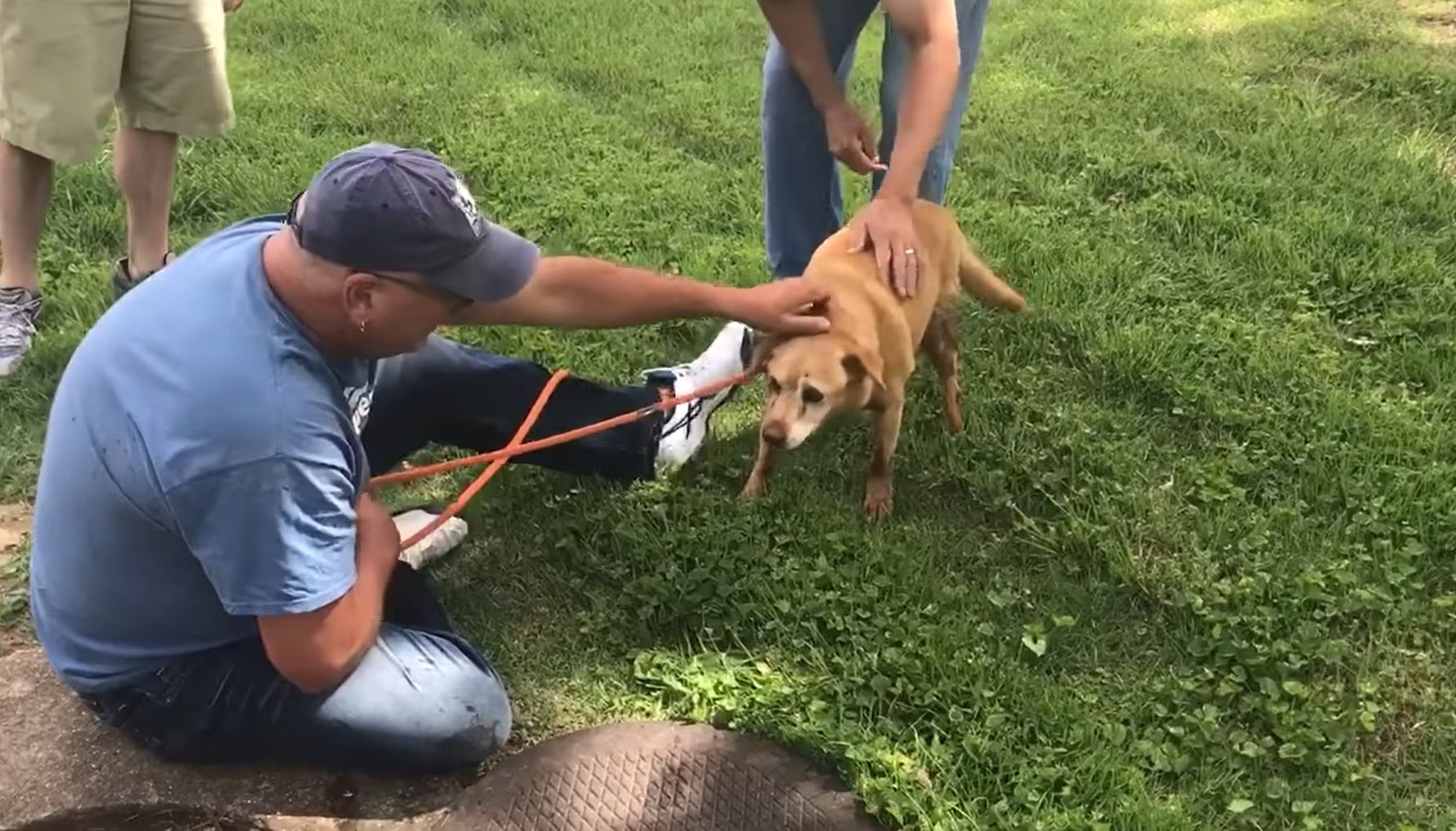 a frightened dog on a leash while a man and a woman caress it