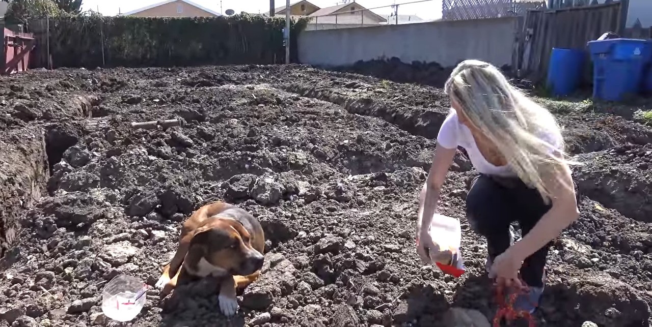 a girl approaches an abandoned dog