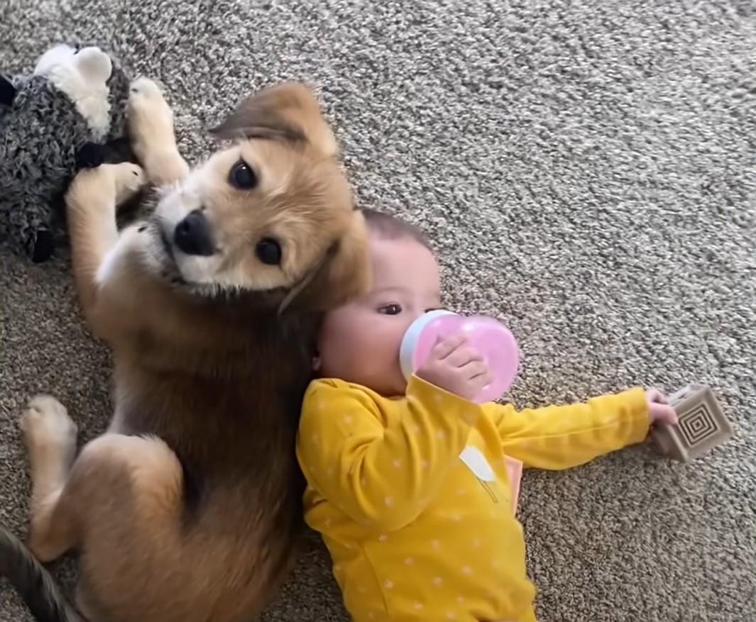 baby eats milk bottle with puppy on the floor