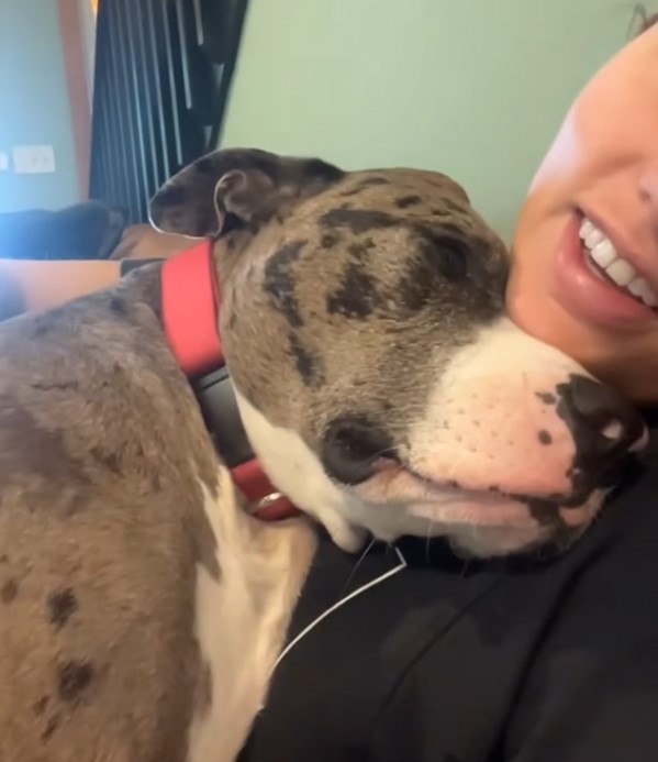 dog cuddling with woman