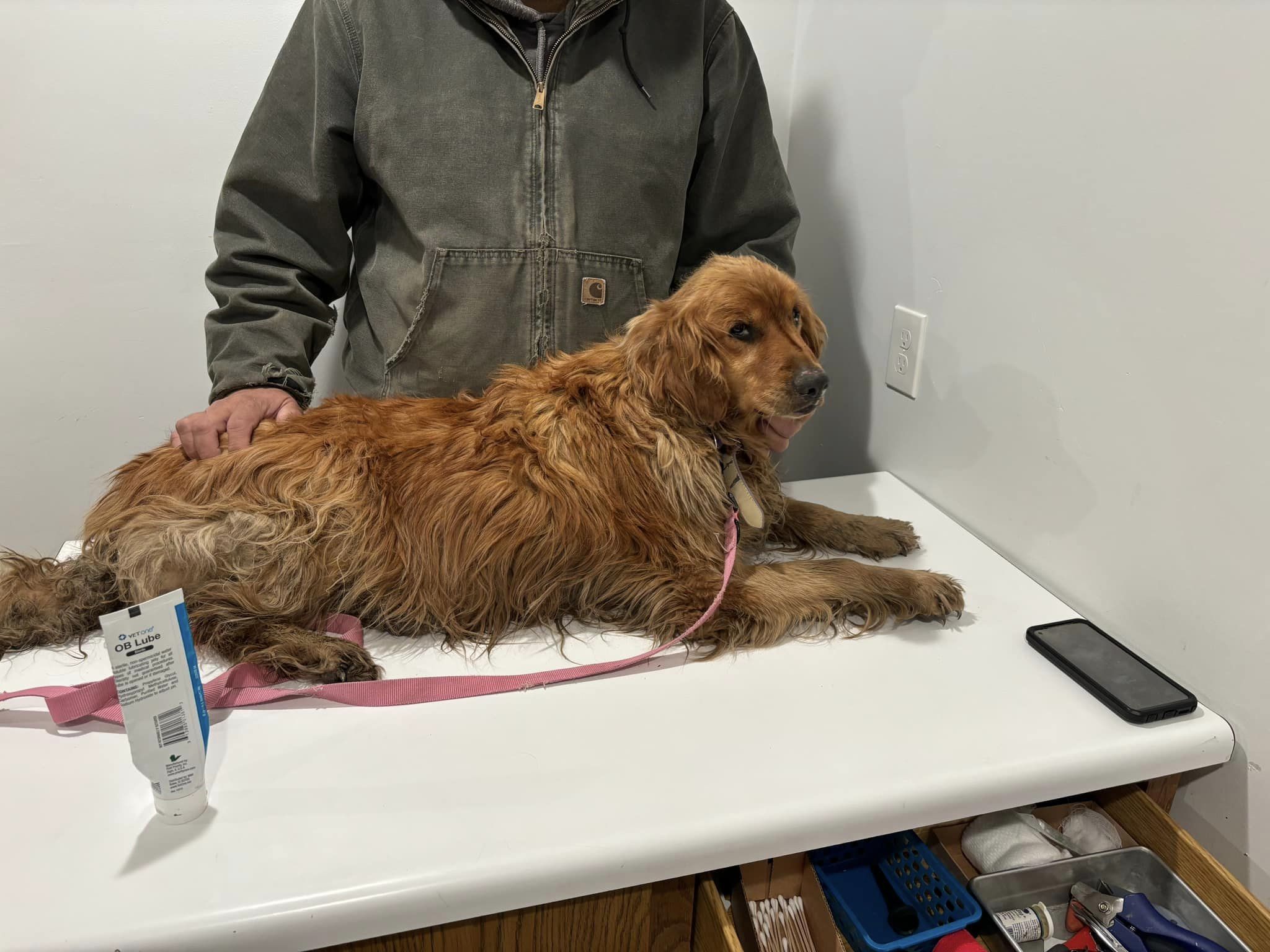 A dog resting on a table in front of a man