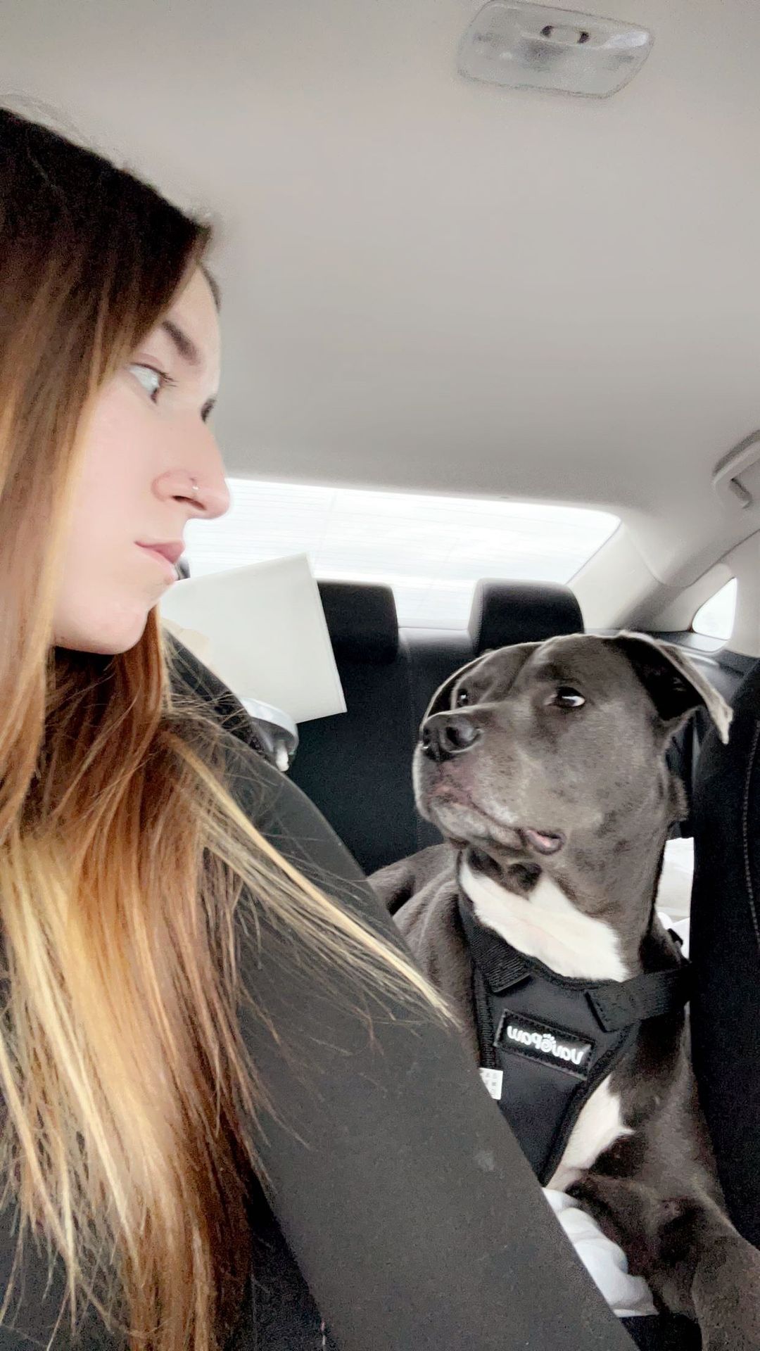 Girl and her deaf dog