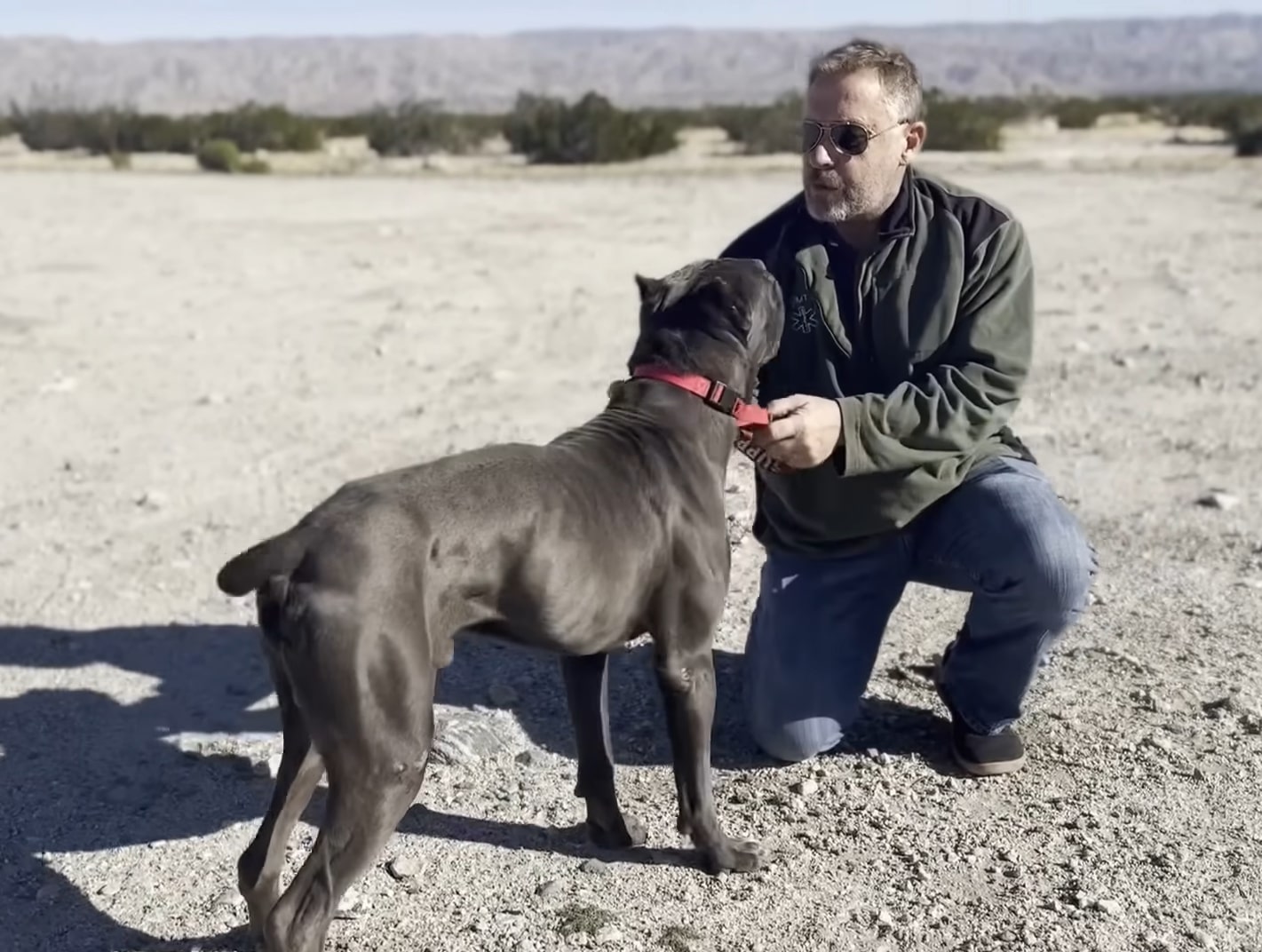 guy and dog in a desert