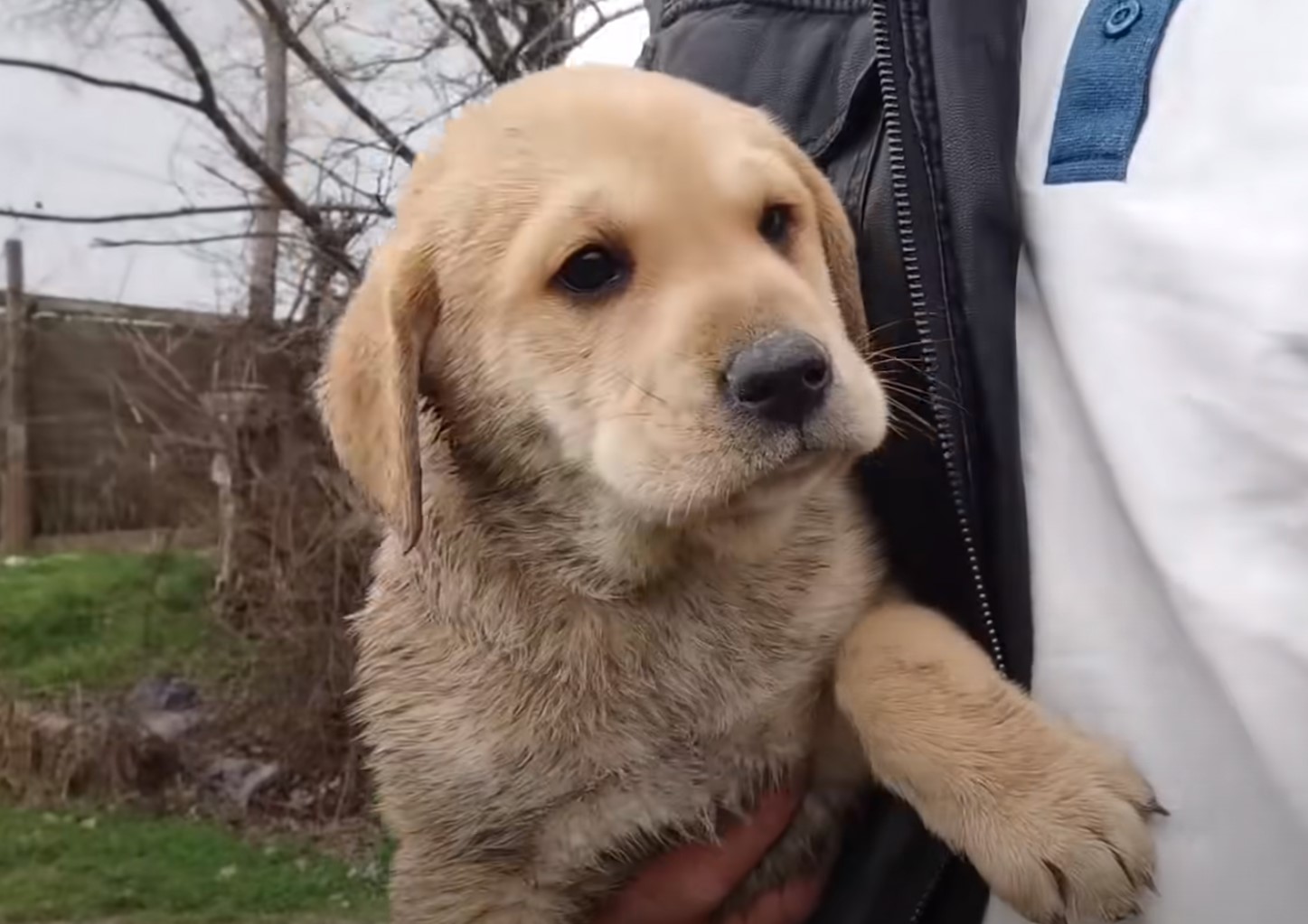 guy holding a beautiful puppy