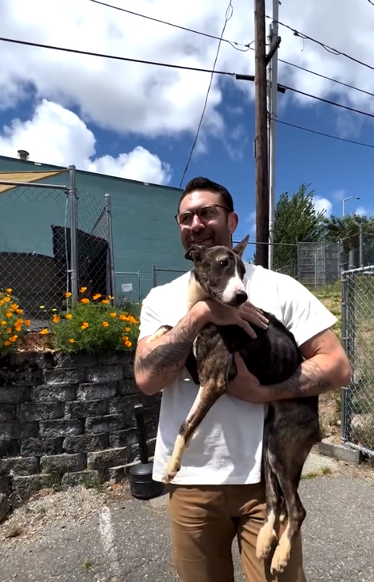 guy with glasses holding a dog