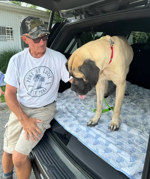 man and dog in a car