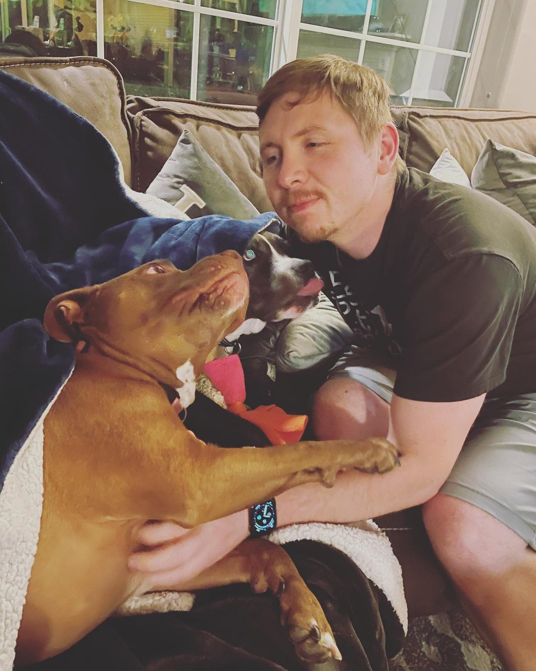 man and two dogs cuddling on couch