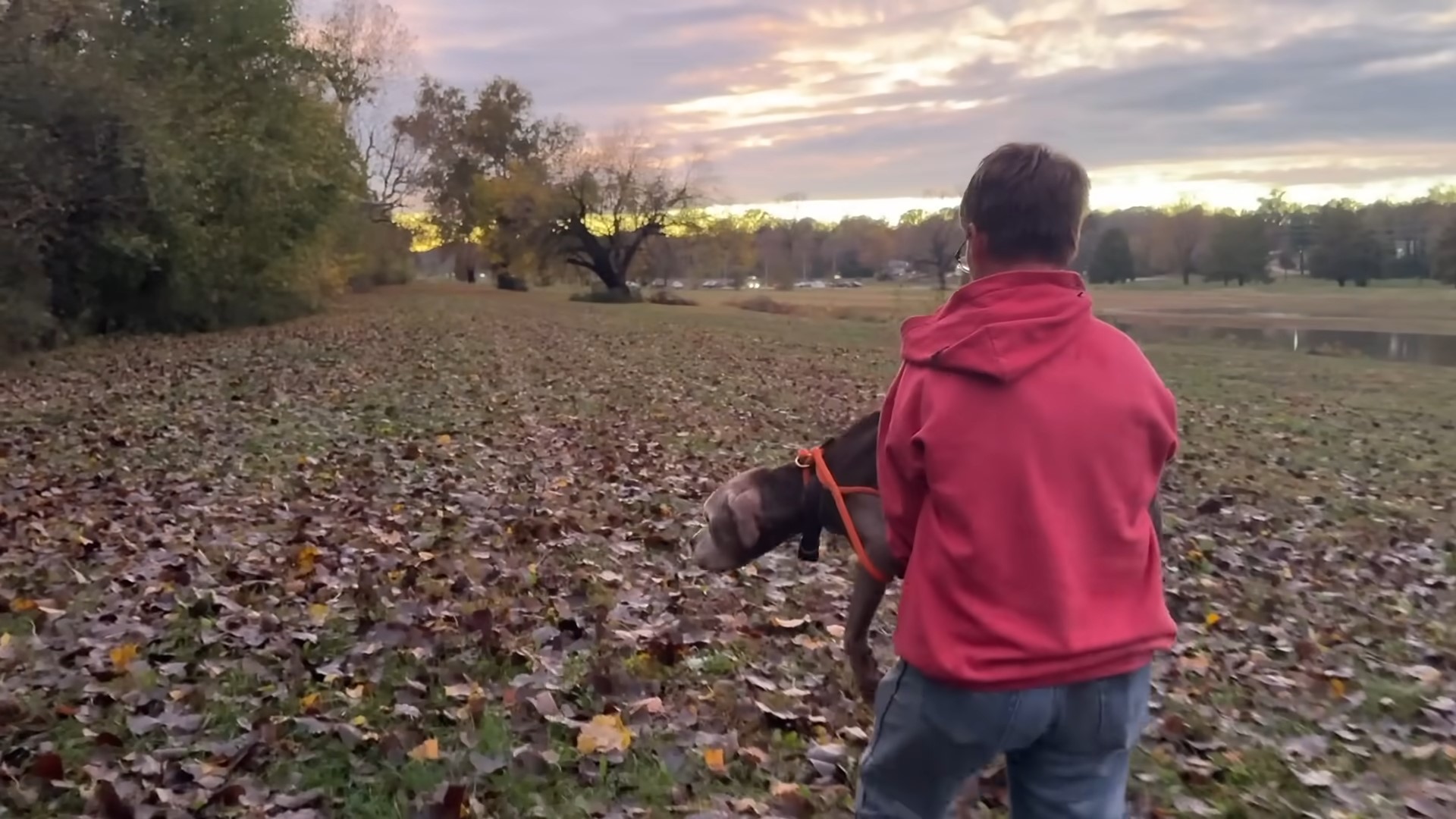 man carrying the dog