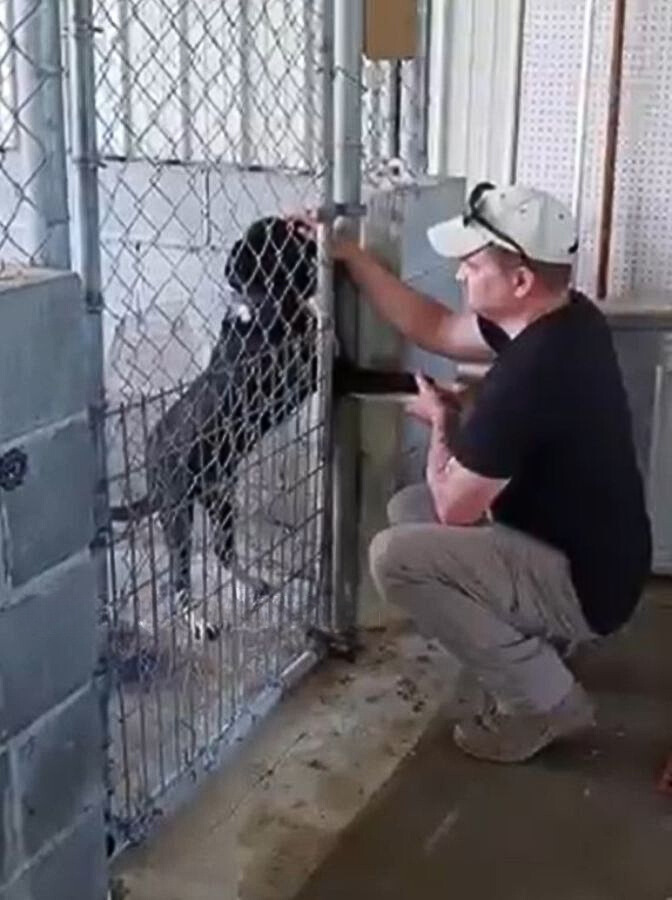 man holding dog's paw