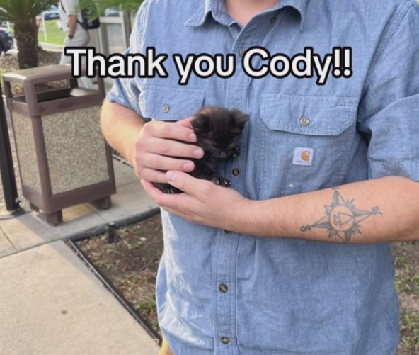 man holding tiny kitten