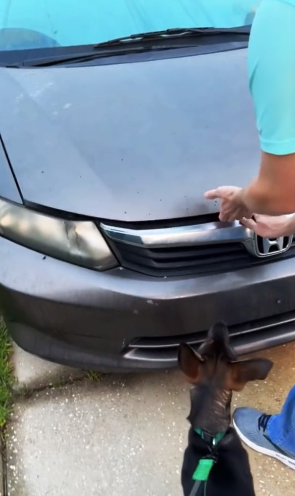 man opening car bonnet