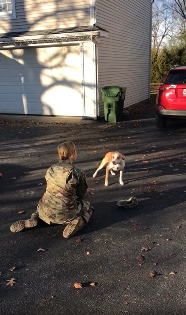 military woman with dog outdoor