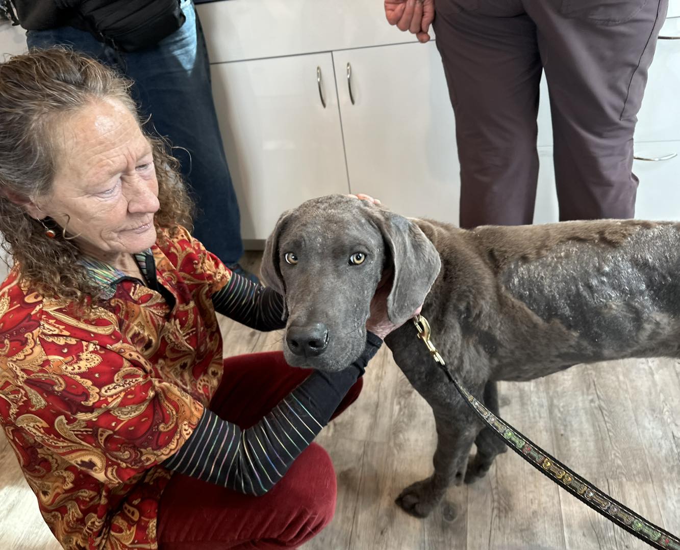 old woman and black dog