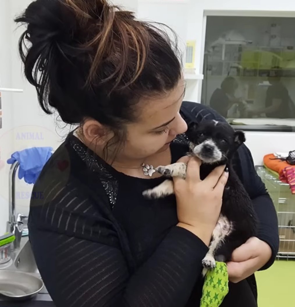 photo of woman holding the dog