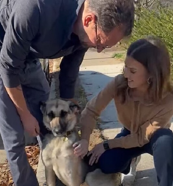 photo of woman, man and german shepherd