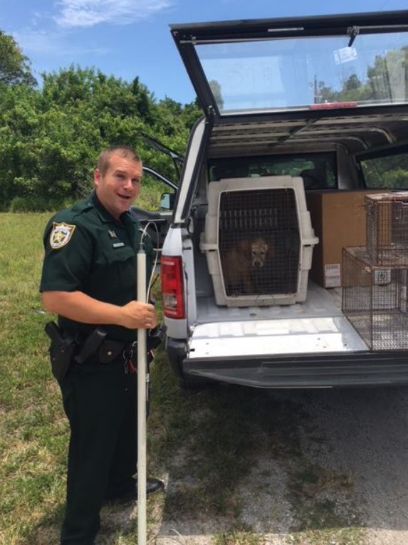 portrait of the policeman who rescued the dog and placed it in a cage