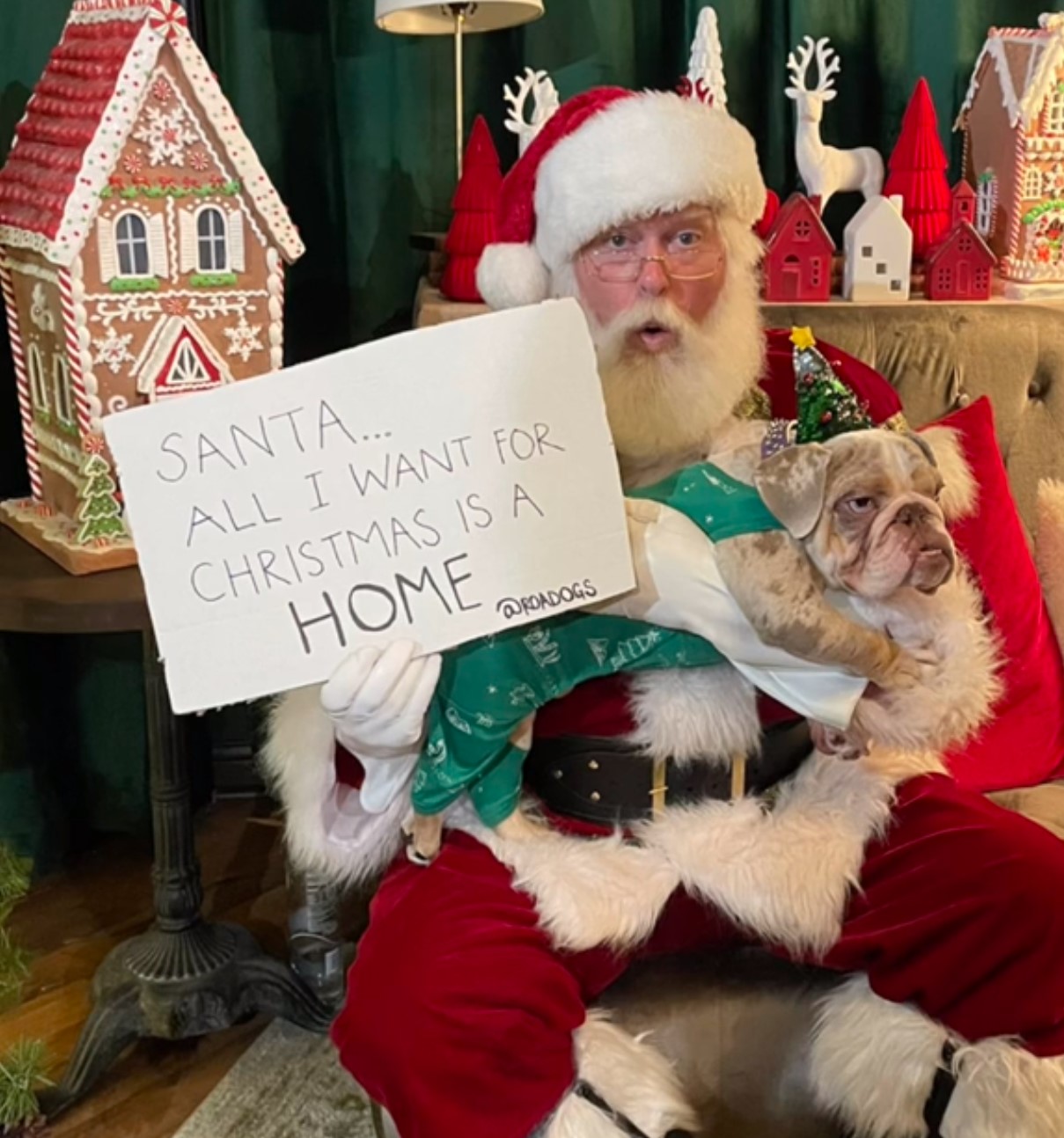 Santa holding the tiny dog