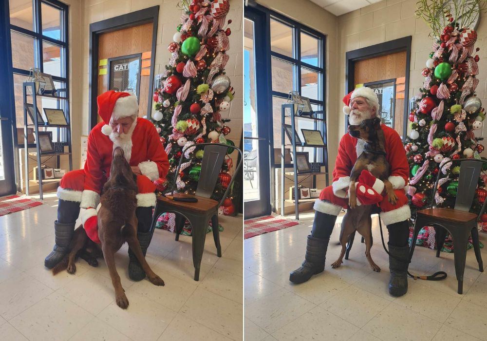 santa with dog