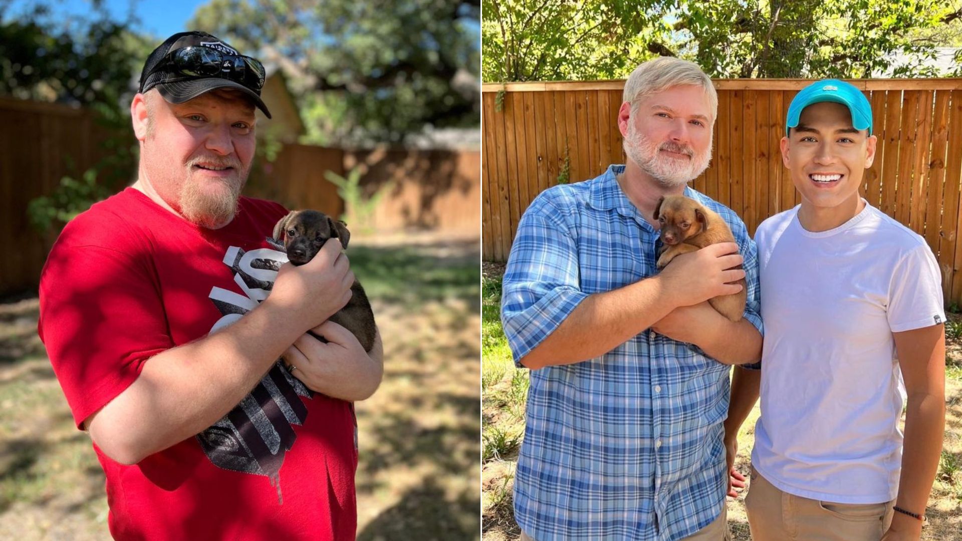 senior man with puppies