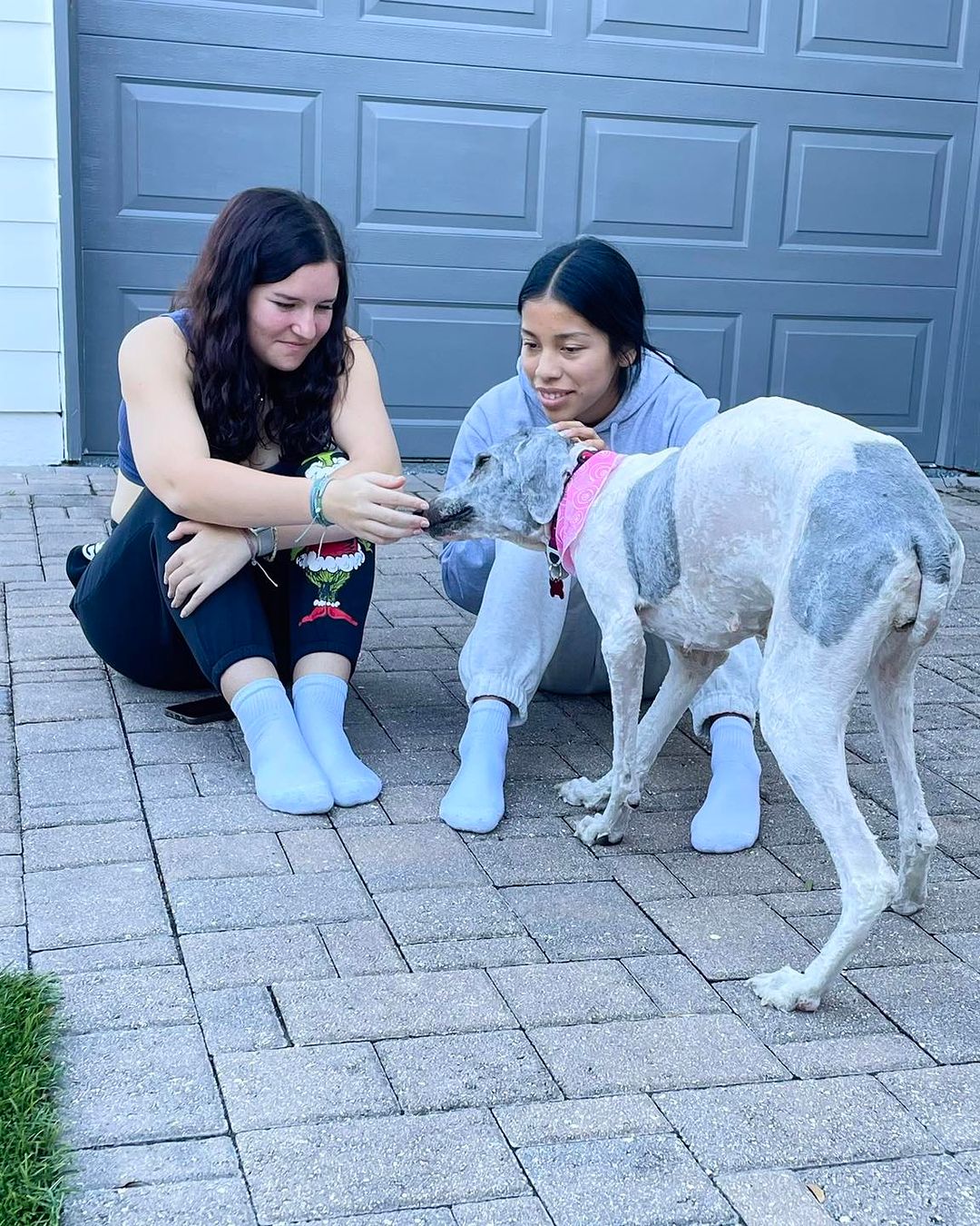 two girls playing with a dog