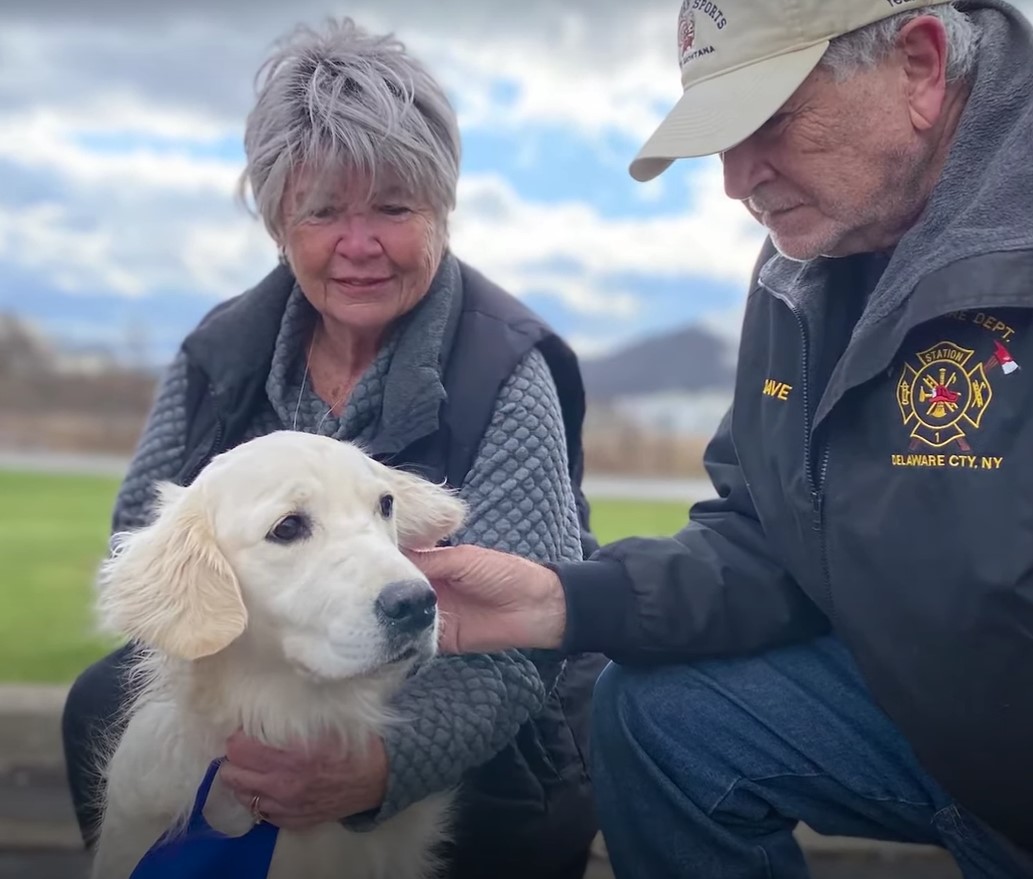 veterans and white dog