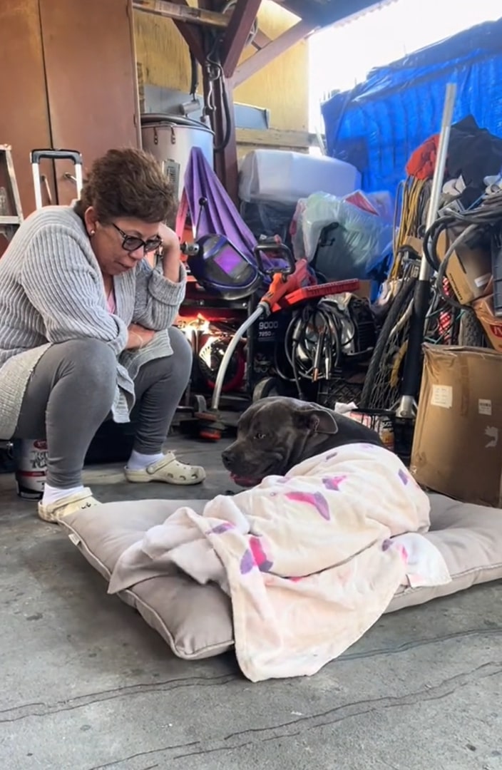 woman and black dog laying down