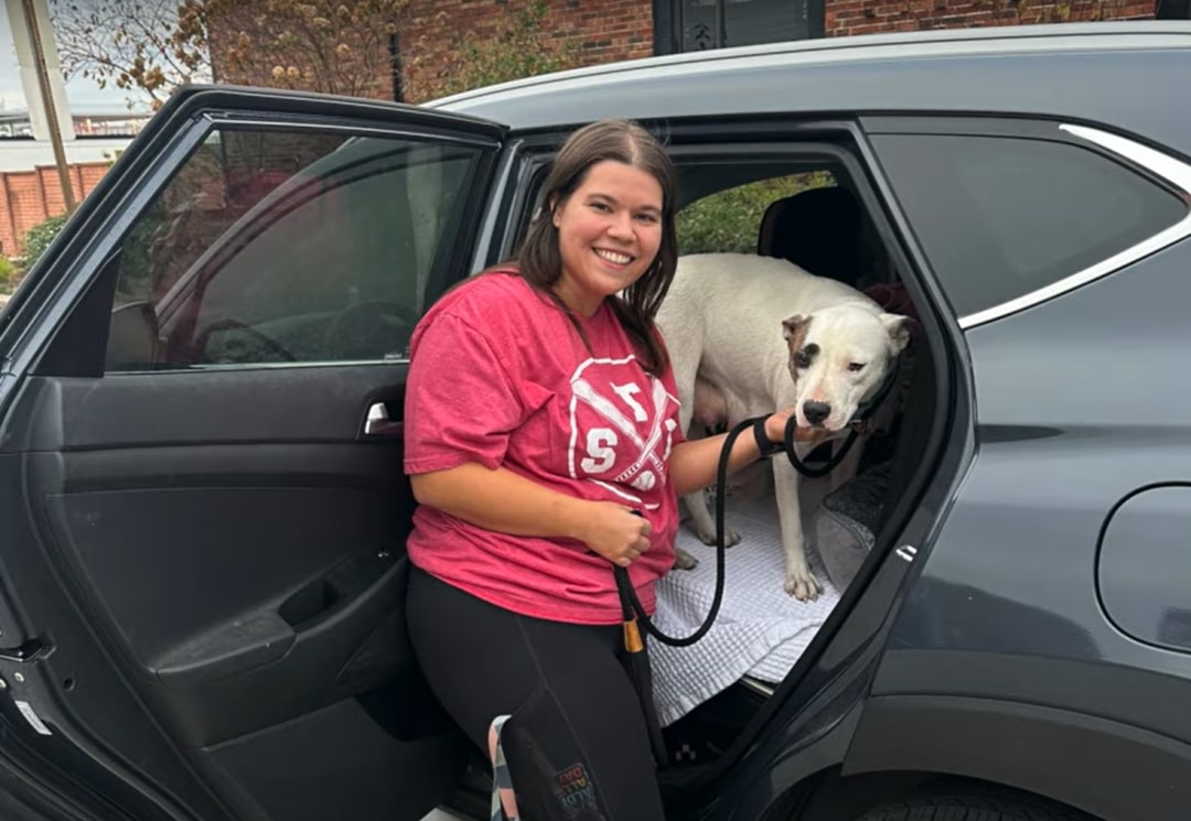 woman and dog in car