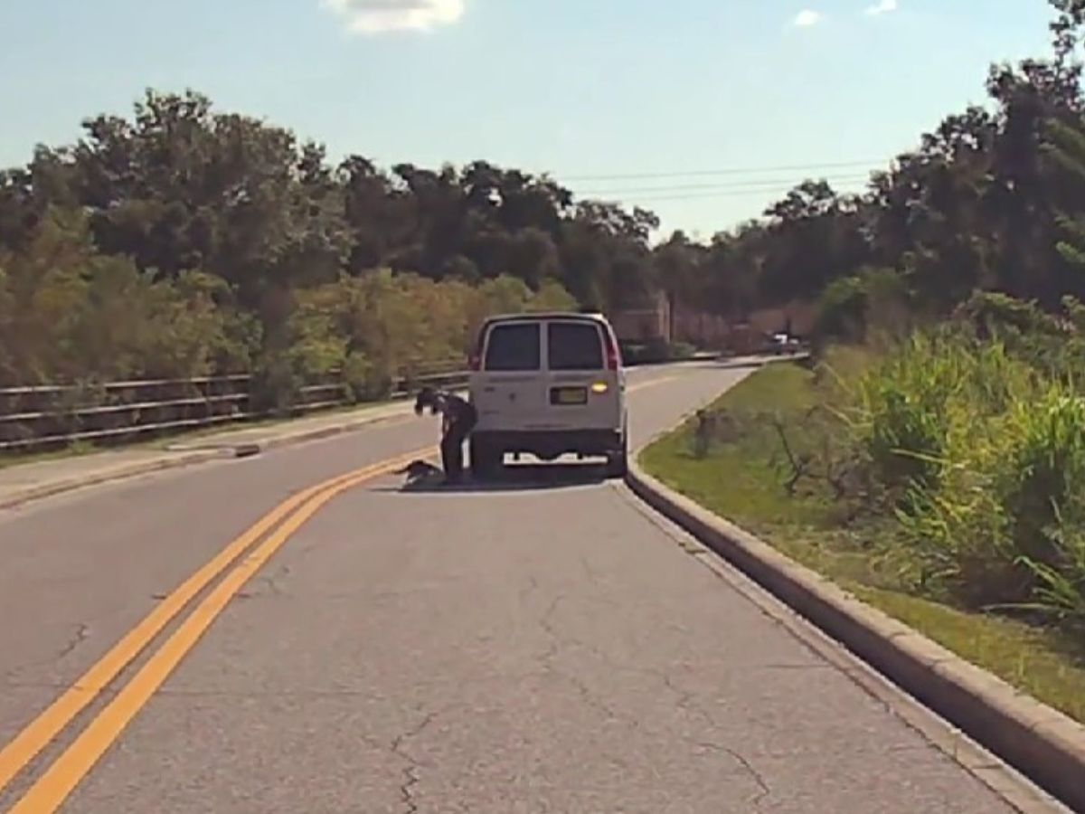 woman checking the animal on the road