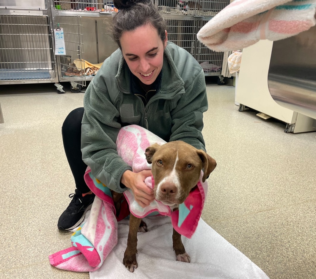 woman covering dog with a blanket