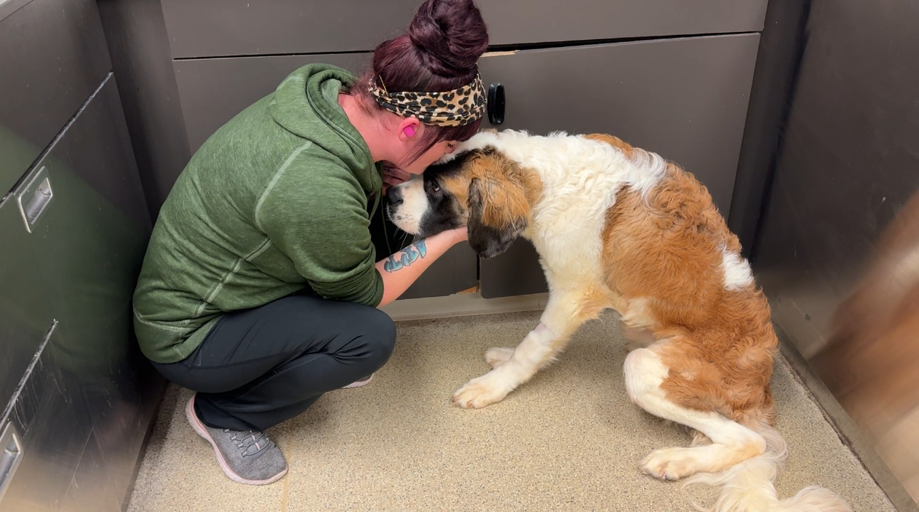 woman giving dog a kiss on the head