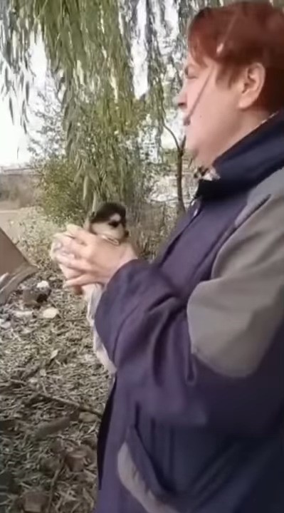 woman holding a puppy outside