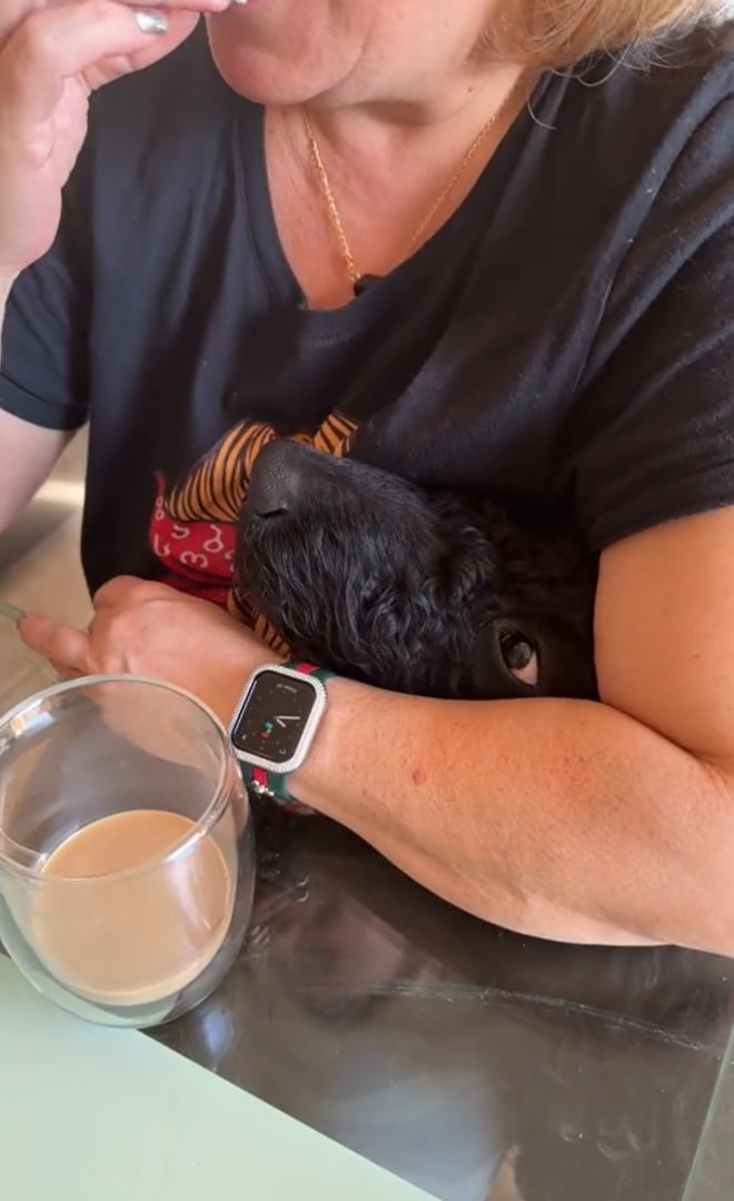 woman holding two month old puppy