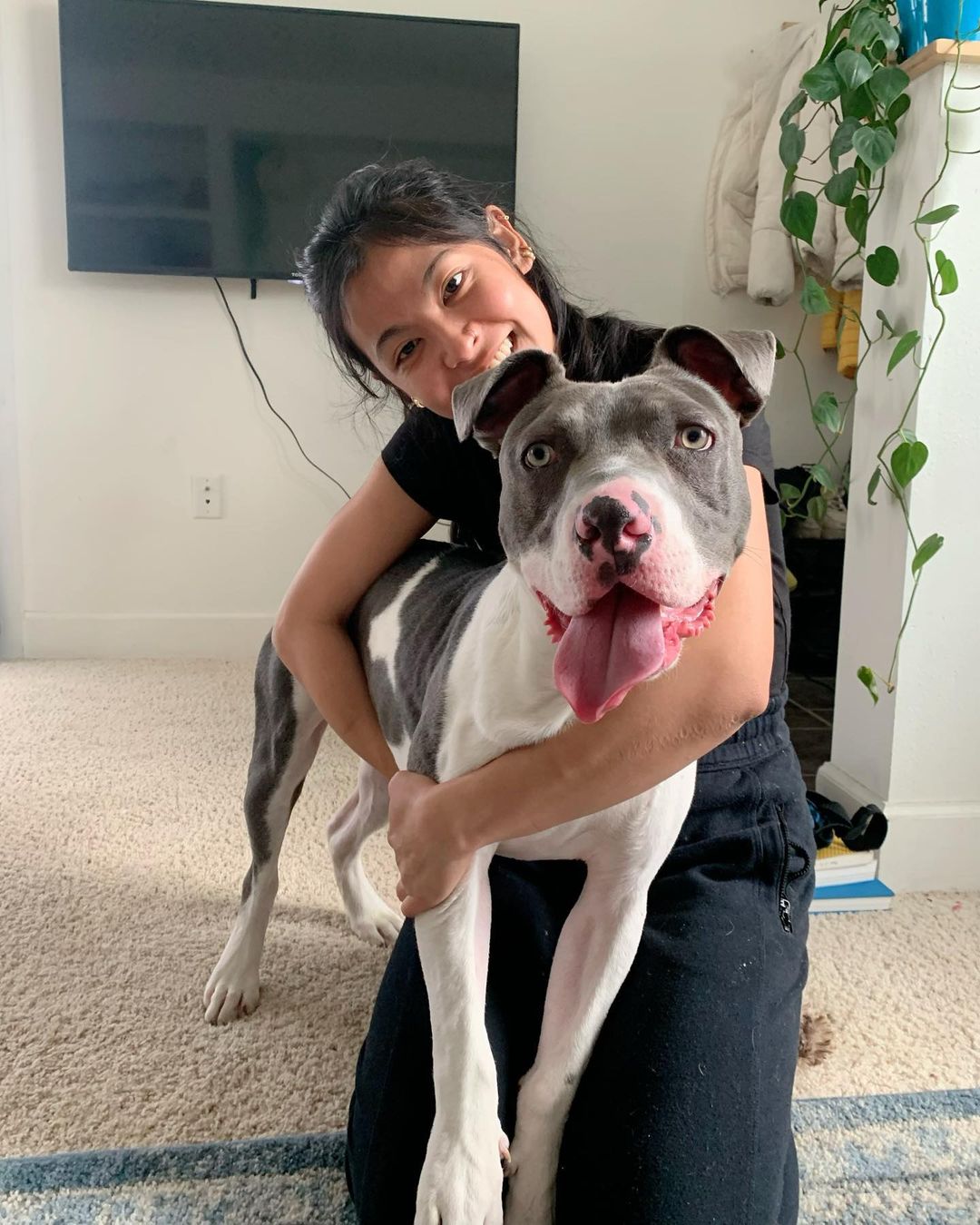 woman hugging a dog