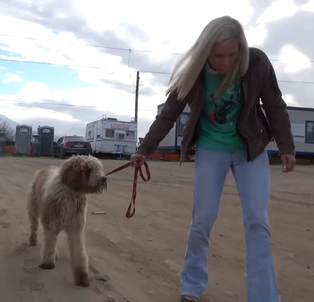 woman in walk with dog