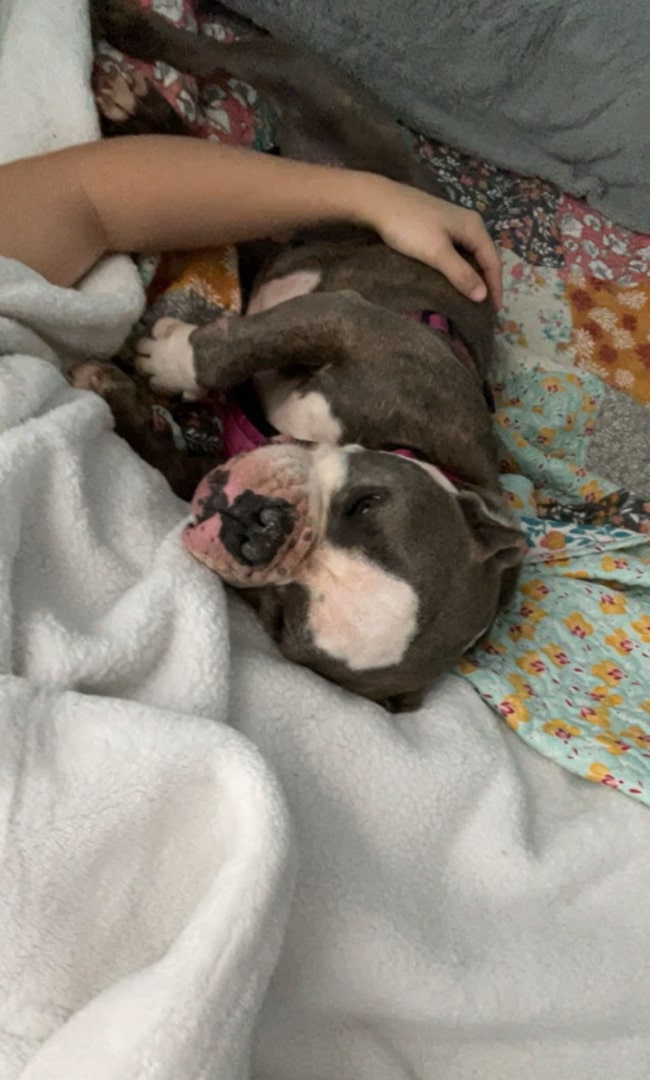 woman laying and hugging a dog