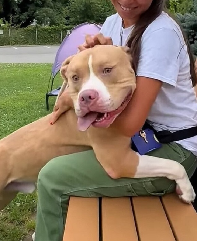 woman and dog sitting on a bench