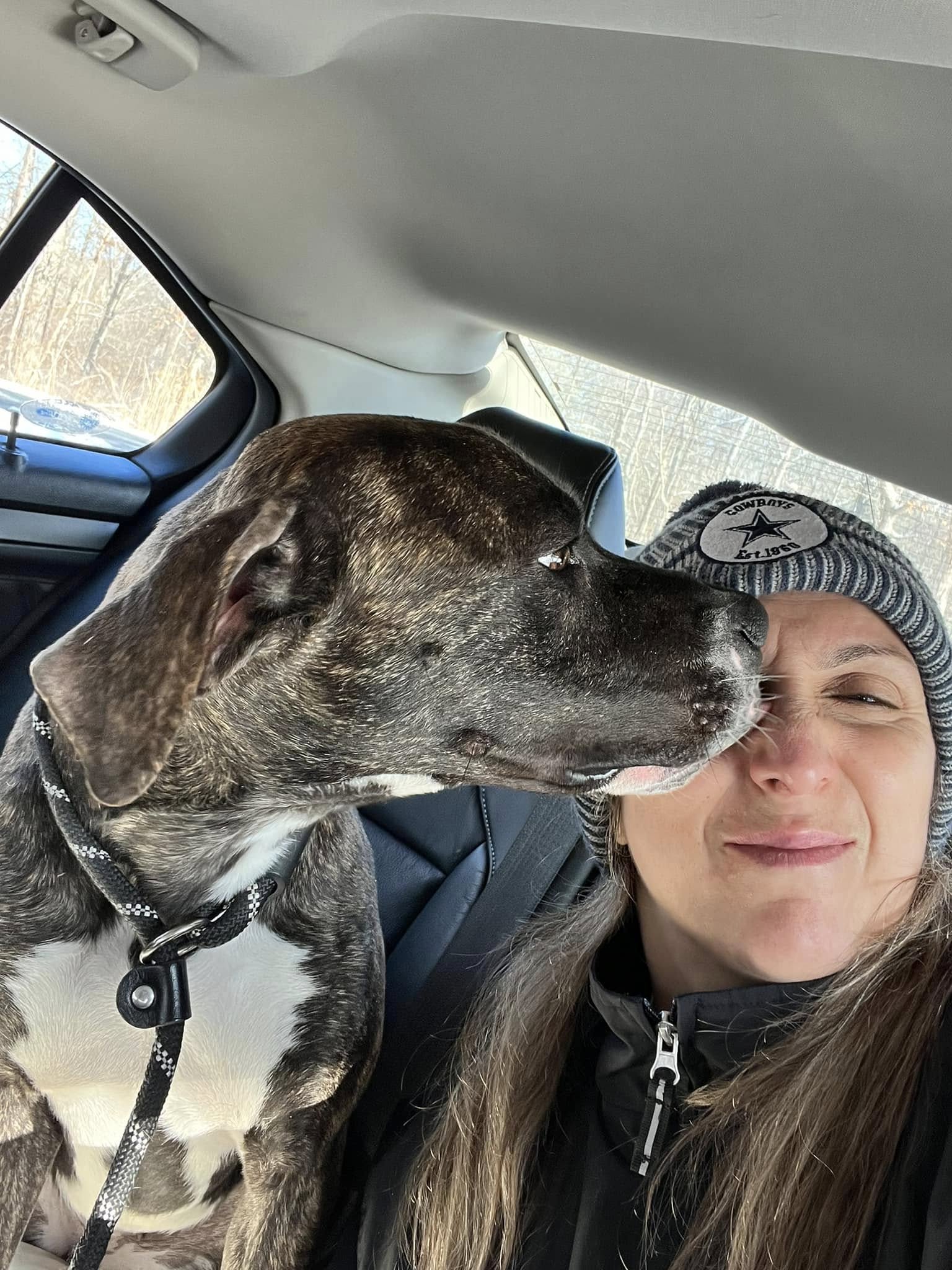 woman and dog in car