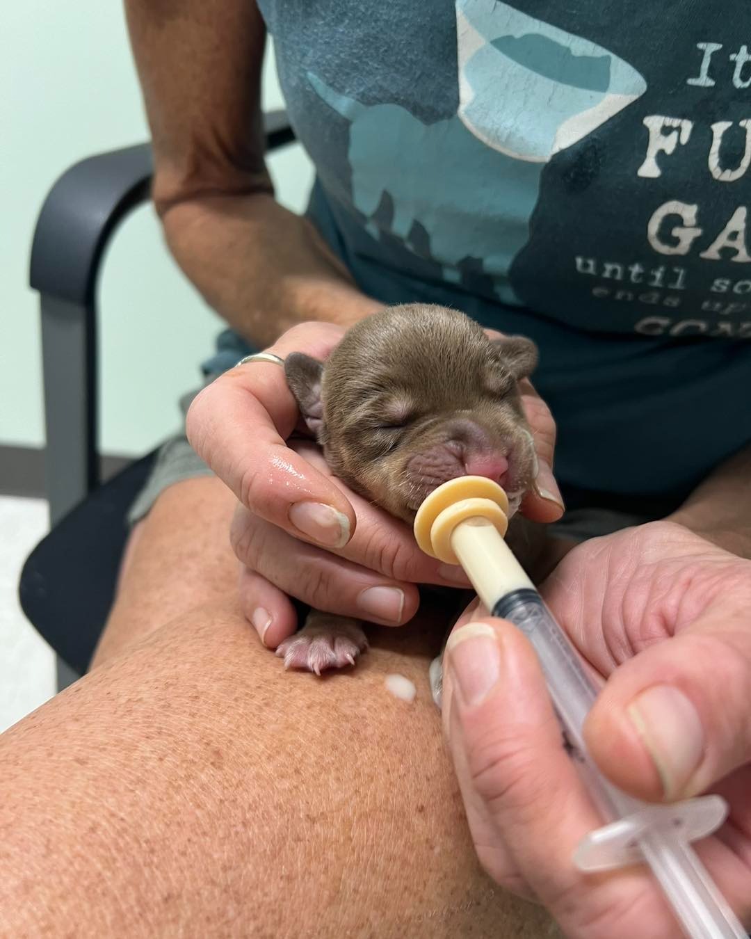 woman feeding a newborn puppy