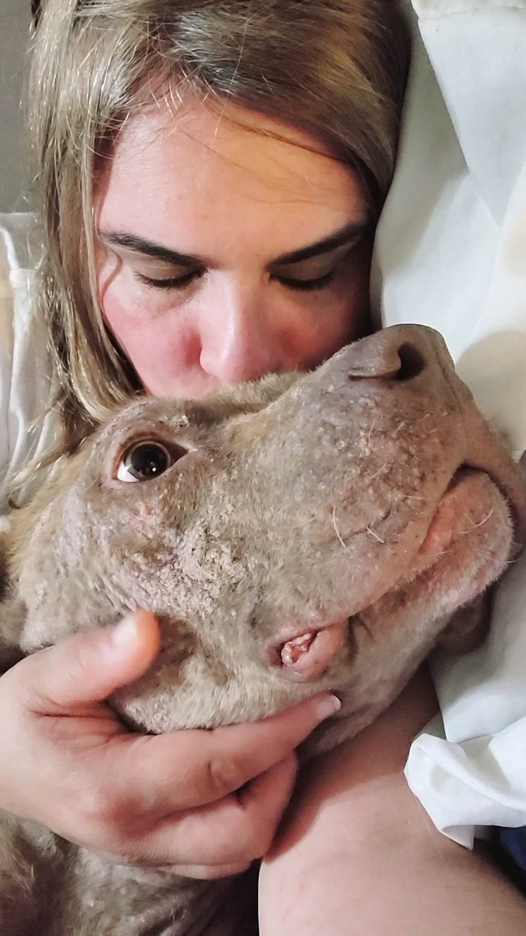 woman kissing dog in head